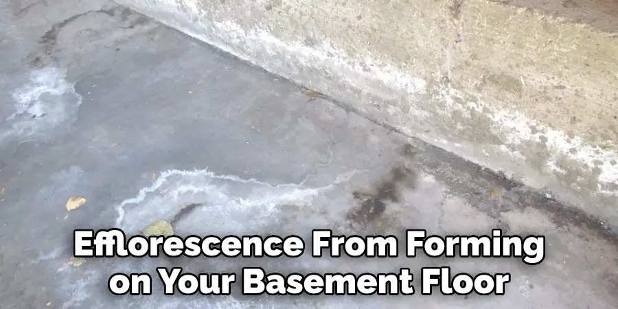 Efflorescence From Forming on Your Basement Floor