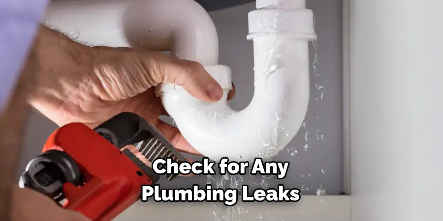 Check for Any 
Plumbing Leaks 
