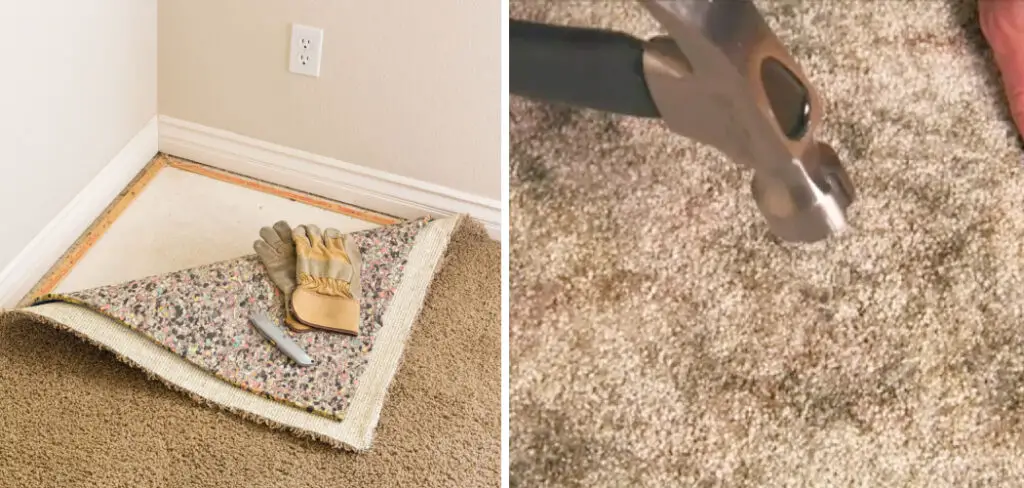 How To Stop Floors From Squeaking Under Carpet Easy Steps