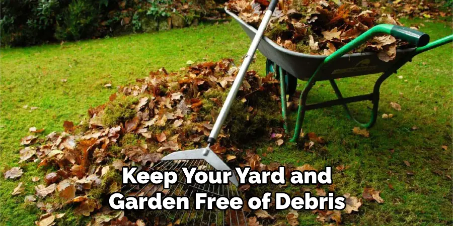 Keep Your Yard and Garden Free of Debris