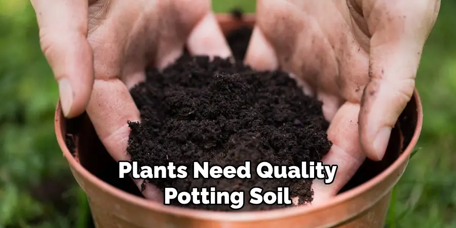 Plants Need Quality Potting Soil