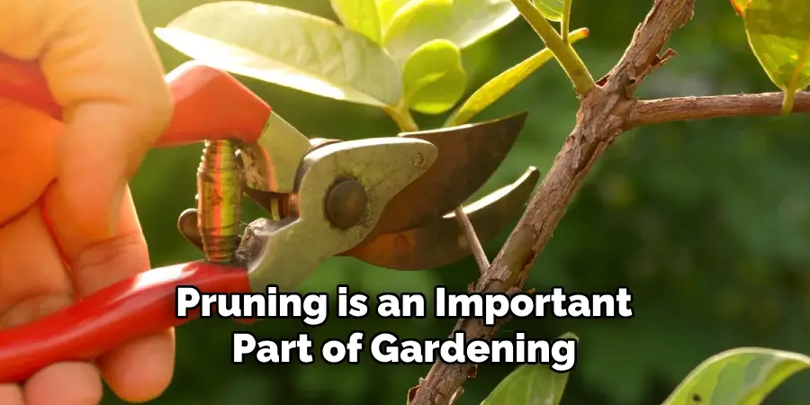 Pruning is an Important Part of Gardening
